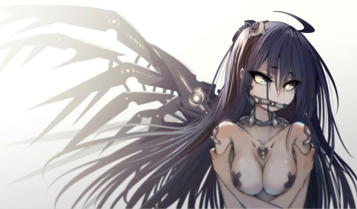 995579 (a): :2000x1166
